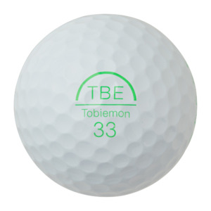 T-V6-WH